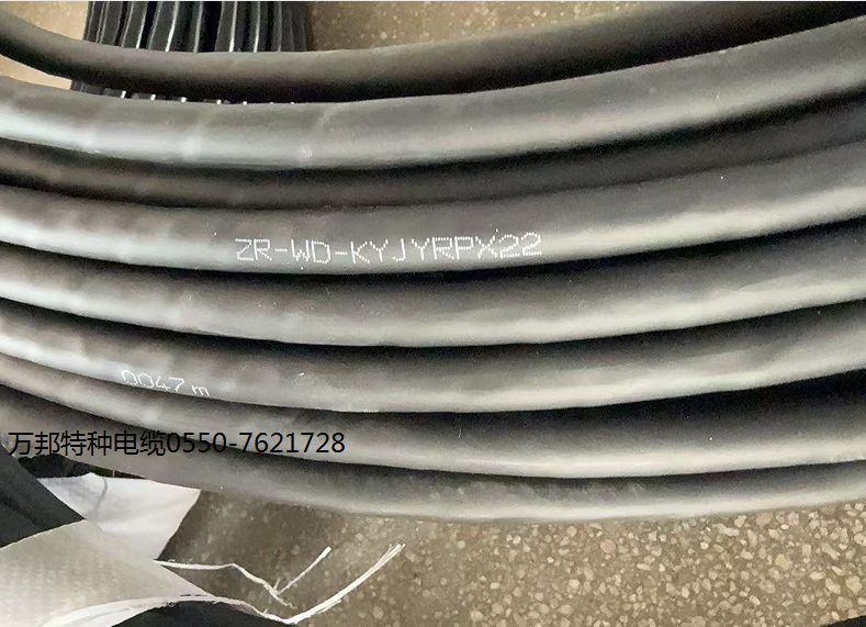 17424560179576.png 1742433387608.png